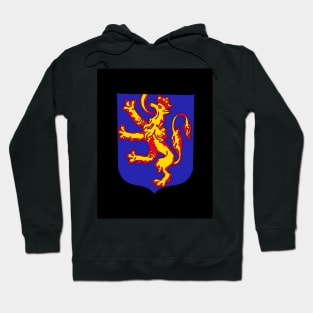 Van Strijp family crest Hoodie